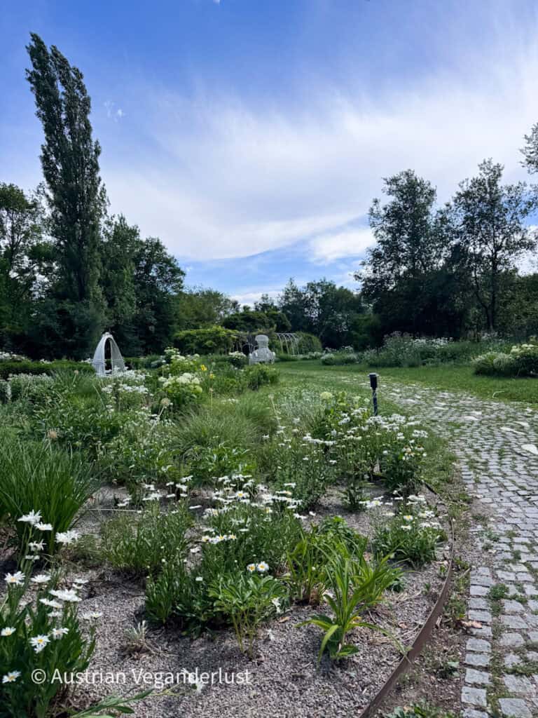 Curving cobblestone path winding through a peaceful garden filled with white flowering plants, ornamental grasses, and trellises. Dense greenery and tall trees surround the landscaped beds, creating a quiet corner of Kurpark Oberlaa.