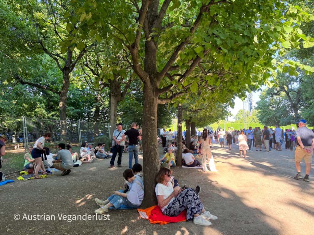 Die Besucher ruhen sich im Schatten unter großen Bäumen aus, während sie auf das Sommernachtskonzert im Schloss Schönbrunn warten. Manche sitzen auf Decken oder direkt auf dem Boden, andere stehen entlang der von Bäumen gesäumten Allee, die zum Konzertgelände führt.