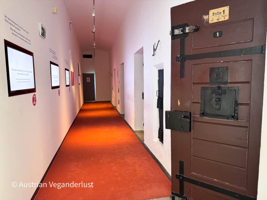 Ein ehemaliger Gefängnisflur, der in das Egon-Schiele-Museum integriert wurde, mit einer schweren braunen Zellentür und Erläuterungstafeln an den Wänden. Der lange Flur mit rotem Bodenbelag unterstreicht die historische Vergangenheit des Gebäudes.