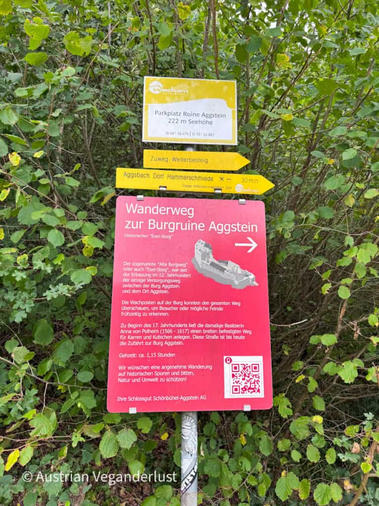 Yellow hiking trail signs point towards Burgruine Aggstein and nearby destinations at the start of a forest path. The large red sign reads "Wanderweg zur Burgruine Aggstein" and explains the historic "Esel Steig" hiking route with a QR code and walking time of approximately 1.15 hours.