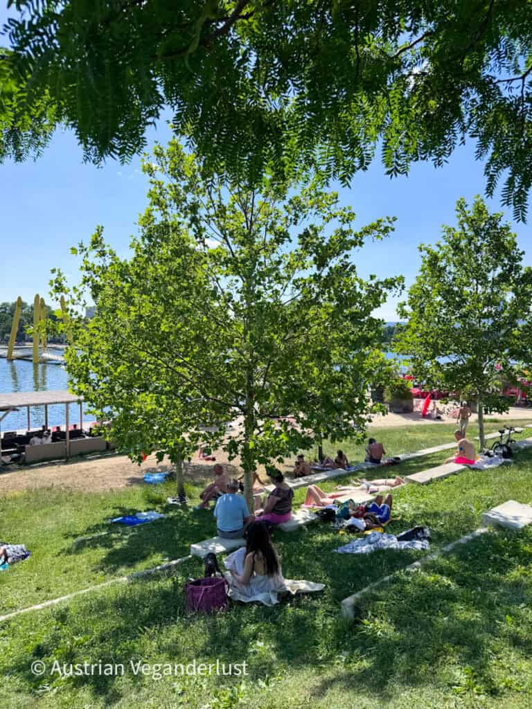 An einem sonnigen Sommertag entspannen sich die Leute auf grasbewachsenen Terrassen unter schattenspendenden Bäumen mit Blick auf die Donau. Der Strand am Flussufer und die Uferpromenade sind durch die Bäume hindurch zu sehen und bilden einen beliebten Ort zum Picknicken und Sonnenbaden.