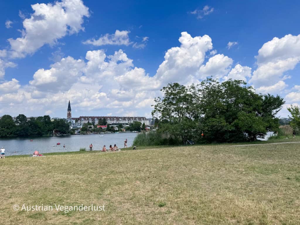 Ein grasbewachsener Park am Flussufer, wo die Leute in der Donau schwimmen, sich sonnen und unter einem strahlend blauen Himmel voller großer weißer Wolken entspannen. Bäume säumen das Ufer, während sich auf der anderen Seite des Flusses ein Kirchturm und die Gebäude des Viertels abzeichnen – eine friedliche städtische Uferkulisse.