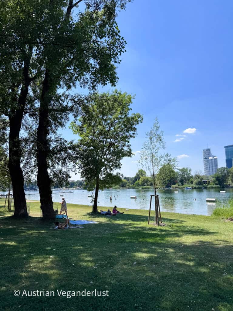 Die Leute entspannen sich auf Decken im Schatten alter Bäume neben einem ruhigen Badebereich am See, mit der Wiener Skyline im Hintergrund. Das grasbewachsene Ufer bietet einen ruhigen Ort, um sich unter einem strahlend blauen Sommerhimmel zu sonnen und abzukühlen.