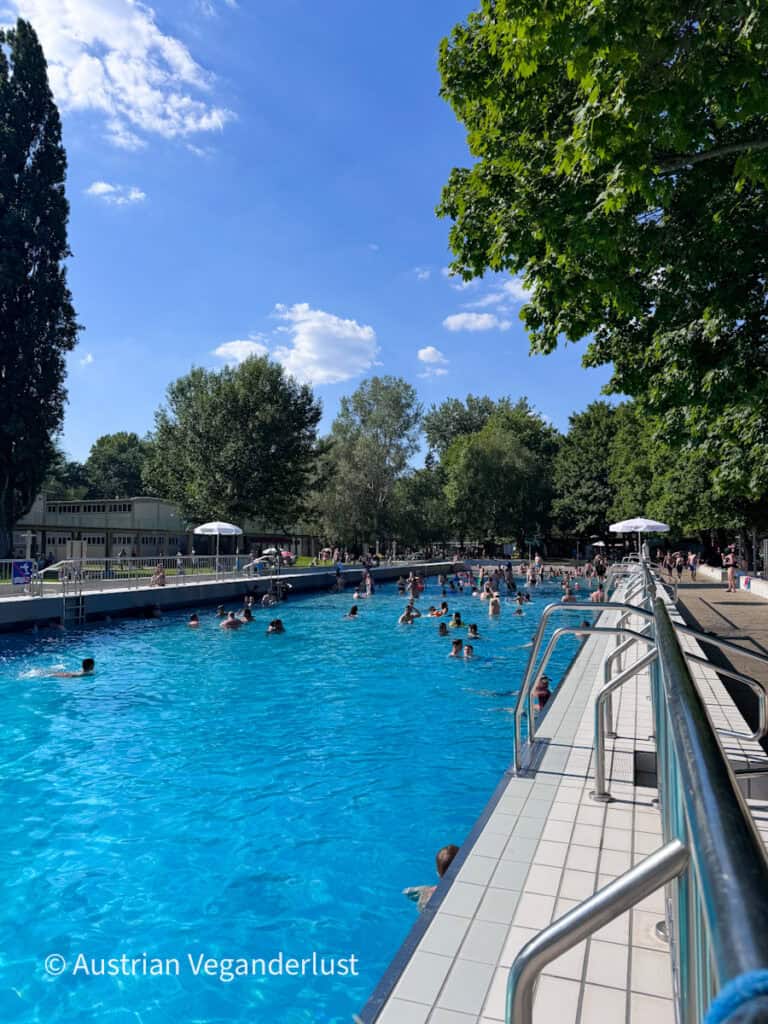 Ein Freibad voller Leute, die an einem warmen Sommertag das Wasser genießen, umgeben von altem Baumbestand und schattigen Sitzbereichen. Edelstahlleitern säumen den Pool, während das strahlend blaue Wasser den klaren Himmel widerspiegelt.