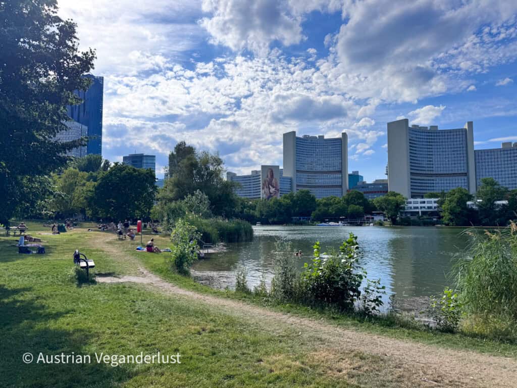 Ein grasbewachsener Park am Seeufer, in dem sich die Leute am ruhigen Wasser entspannen und sonnen, während sich im Hintergrund die moderne Wiener Skyline abzeichnet. Geschwungene Hochhäuser, grüne Bäume und dramatische Wolken bilden einen eindrucksvollen Kontrast zwischen der Natur und der modernen Architektur der Stadt.