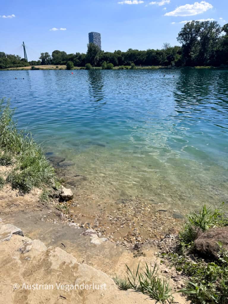 Kristallklares Wasser plätschert an einem Kieselstrand entlang der Donau, und in der Ferne sind Schwimmer zu sehen. Eine Schrägseilbrücke, ein modernes Hochhaus und ein von Bäumen gesäumtes Flussufer rahmen das ruhige Ufer unter einem strahlend blauen Himmel ein.