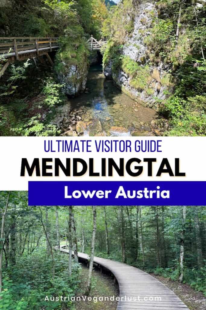 Cover graphic showing a clear stream between rocky forest walls and a curving wooden boardwalk through the trees. Text reads "ULTIMATE VISITOR GUIDE MENDLINGTAL Lower Austria AustrianVeganderlust.com."