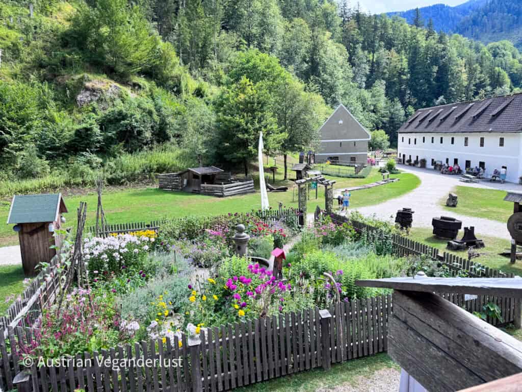 Colorful cottage garden enclosed by a wooden fence at an open air heritage site in a forested mountain valley. Rustic buildings and historic equipment surround the garden.