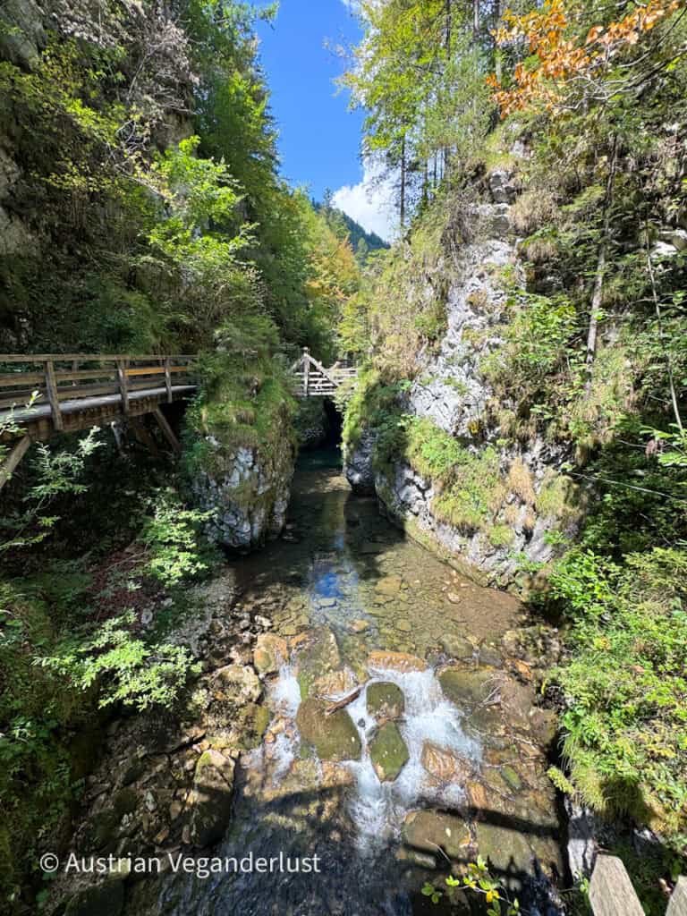 Clear mountain stream runs through a narrow rocky gorge beneath wooden footbridges surrounded by dense green forest. Water tumbles over large rocks in the foreground.