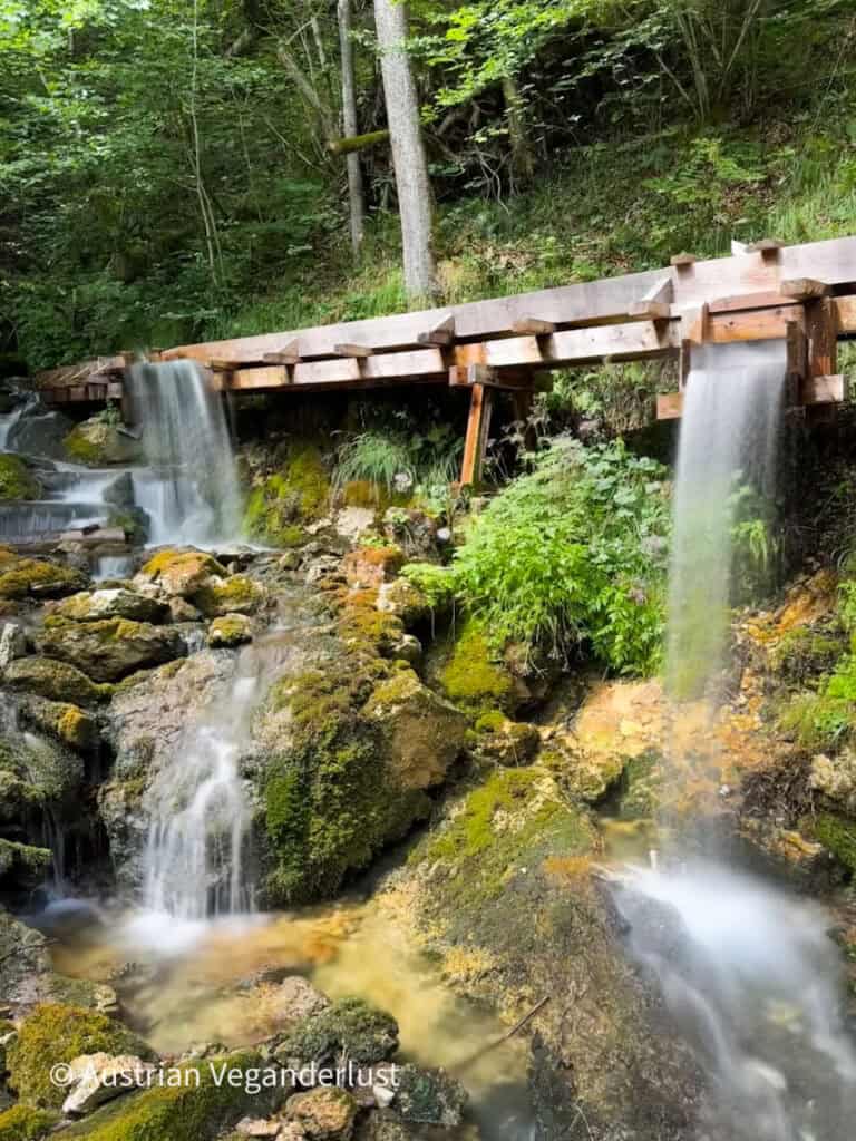 Water pours from openings in an elevated wooden channel and cascades over moss covered rocks into a forest stream. The historic waterway demonstrates how water was directed through the valley.