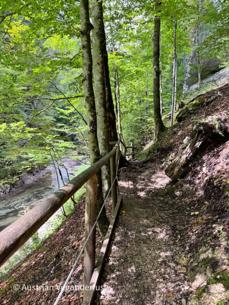Narrow dirt hiking trail follows a wooded hillside above a clear stream. A rustic wooden handrail lines the shaded path through dense green forest.