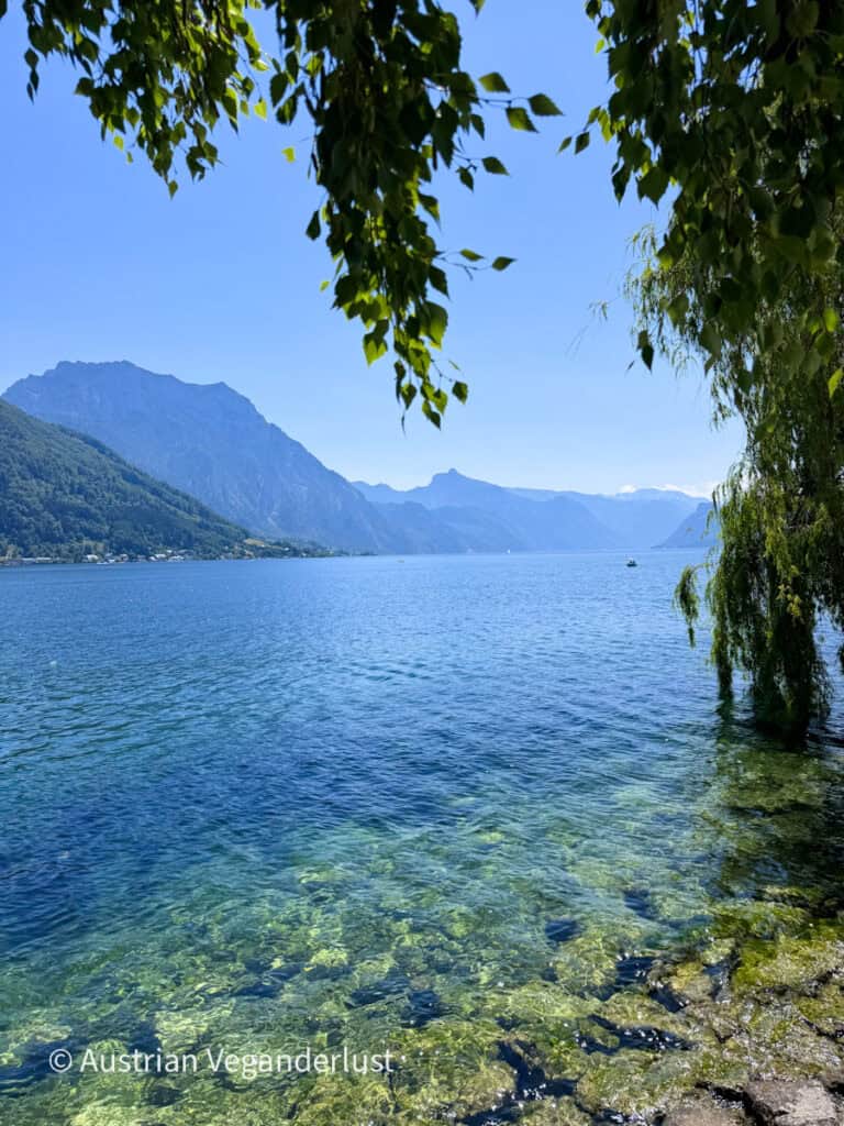 Clear blue lake stretching toward steep forested mountains beneath a cloudless sky. Sunlight reveals rocks beneath the shallow turquoise water while leafy branches frame the peaceful lakeshore view.