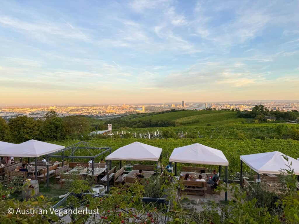 Tische im Freien inmitten grüner Weinberge auf einem Hügel mit Blick auf Wien im warmen Abendlicht. Die Stadt erstreckt sich am Horizont hinter den sanft geschwungenen Rebzeilen.
