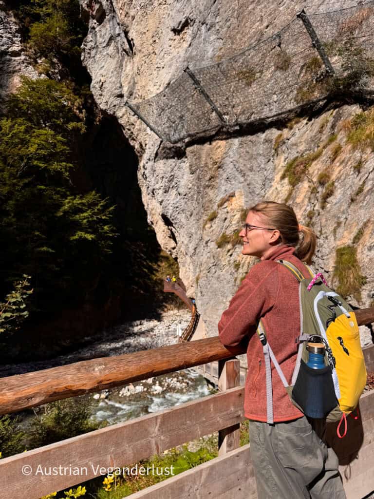 Tina with a hiking backpack leans on a wooden railing overlooking the rushing stream deep inside the rocky gorge. Protective wire netting covers the cliff above the walkway.